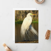 Charlie The Great Egret Notitiekaartje (Voorkant / Achterkant in situ)