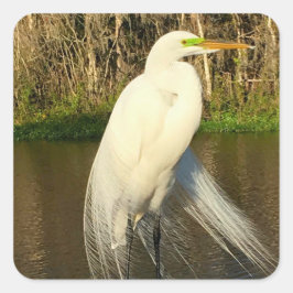 Charlie The Great Egret Vierkante Sticker