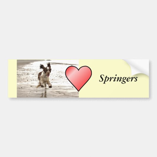 Charlie The Springer Bumpersticker (Voorkant)
