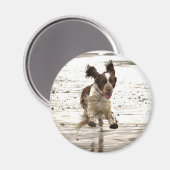 Charlie The Springer. Magneet (Voorkant / Achterkant)