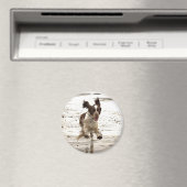 Charlie The Springer. Magneet (Insitu (Vaatwasser))