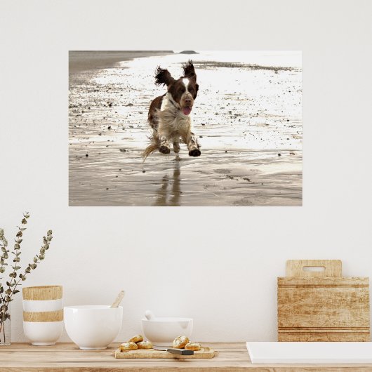 Charlie The Springer Poster (Keuken)