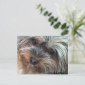 Charlotte het kleine Briefkaart van de Dog (Staand voorkant)