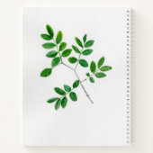 Charlotte Mason Quote Natuur Journal Sketch Book Notitieboek (Achterkant)