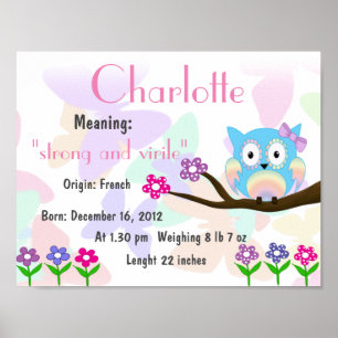 Charlotte Name betekent keepomwille nursery Poster