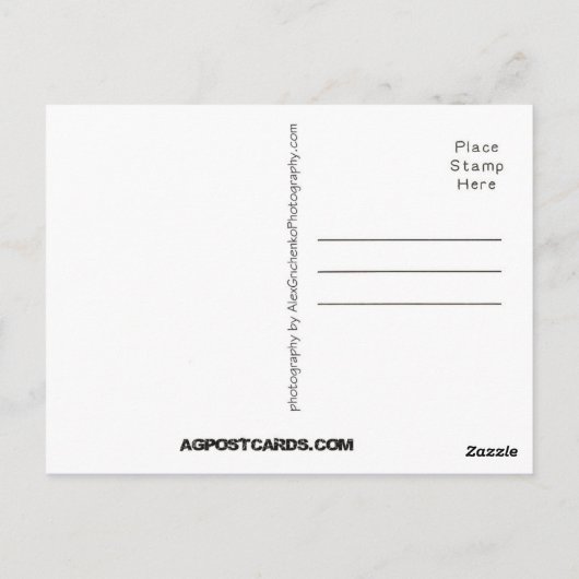 Charlotte NC Briefkaart (Achterkant)