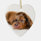 Charlotte Newborn-Lovebugdoxies puppy keepomwille Keramisch Ornament (Rechts)