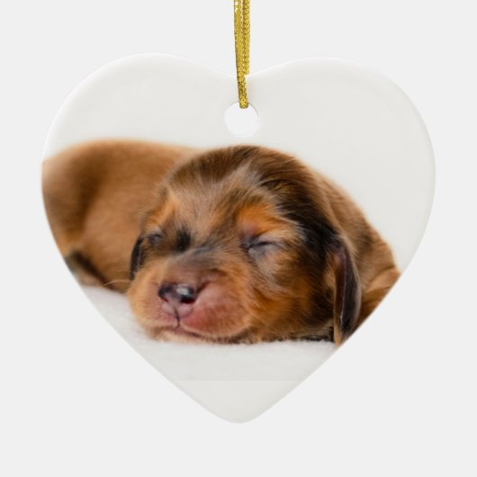 Charlotte Newborn-Lovebugdoxies puppy keepomwille Keramisch Ornament (Voorkant)