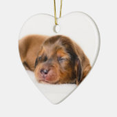 Charlotte Newborn-Lovebugdoxies puppy keepomwille Keramisch Ornament (Links)