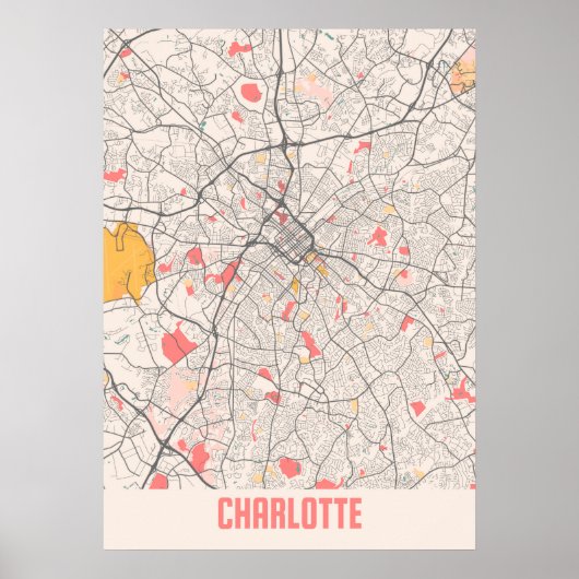 Charlotte - North Carolina Chalk City Map Poster (Voorkant)