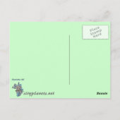 charlotte skyline briefkaart (Achterkant)