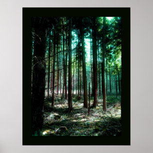 Charm-bos Poster