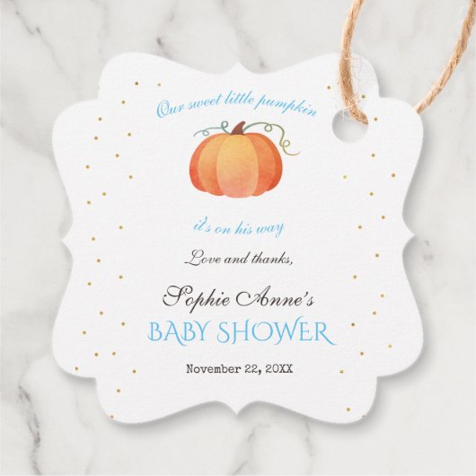 Charm Boy Little Pumpkin Thanksgiving Baby shower Bedankjes Labels (Achterkant)