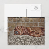 Charm Briefkaart (Voorkant / Achterkant)