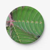 Charmant Bord van het Groene Blad Papier (Voorkant)