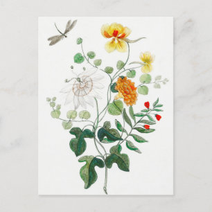 Charmant Stilleven Flower Briefkaart