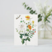 Charmant Stilleven Flower Briefkaart (Staand voorkant)