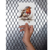 Charmante achtertuin Robin Briefkaart