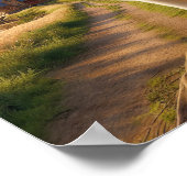 Charmante Beagle in een rustieke landschap Poster (Hoek)