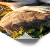 Charmante Beagle in een rustieke landschap Poster (Hoek)