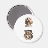 Charmante Cockapoo Clean/Dirty vaatwasser Magneet (Voorkant / Achterkant)