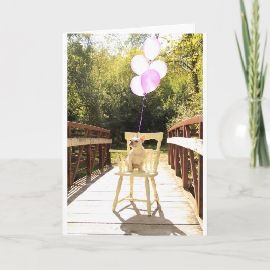 Charmante Franse Bulldog Verjaardag Kaart (Voorkant)