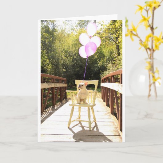 Charmante Franse Bulldog Verjaardag Kaart (Gele Bloem)