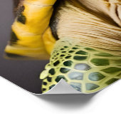 Charmante groene schildpad met bril poster (Hoek)