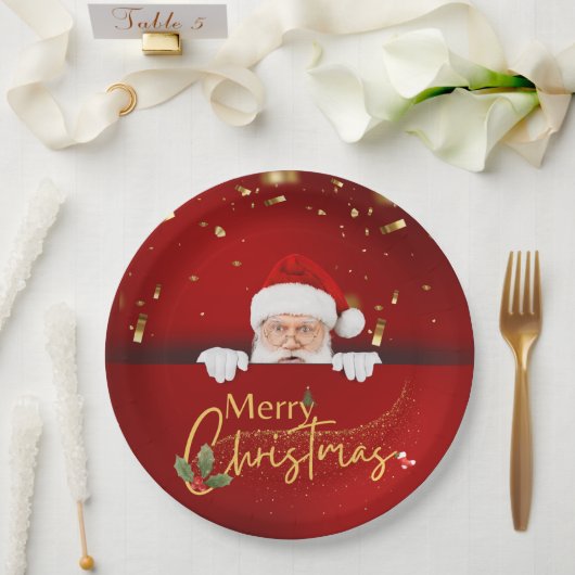 Charmante Kerstman Vrolijk Kerstfeest Papieren Bordje (Huwelijk)