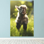Charmante kleurrijke Baby geit in grasportret Canvas Afdruk (Insitu (Houten vloer))