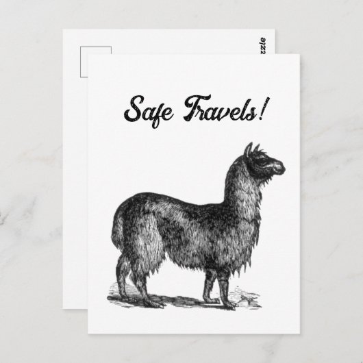 Charmante lama schets, schattige dierlijke inkt te briefkaart (Voorkant / Achterkant)