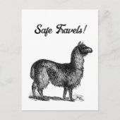 Charmante lama schets, schattige dierlijke inkt te briefkaart (Voorkant)