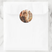 Charmante Maine Coon Cat Ronde Sticker (Tas)