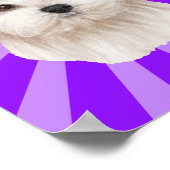 Charmante Maltese Pop kunst Poster (Hoek)