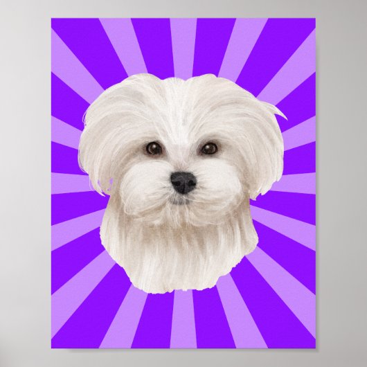 Charmante Maltese Pop kunst Poster (Voorkant)