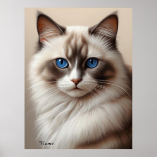 Charmante Ragdoll Cat Art Pet Lover Poster