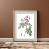 Charmante Roze Rose Botanische Kunst Print