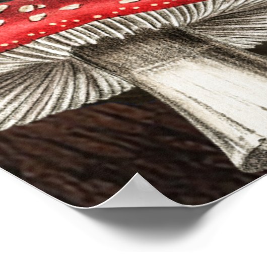 Charmante rustieke bos Natuur geïnspireerd Poster (Hoek)