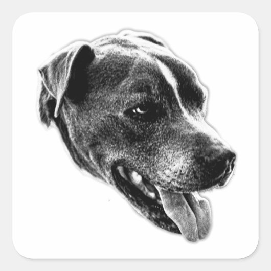 Charmante Smile Pitbull Mix Art Sticker (Voorkant)