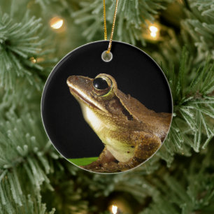 Charmanter kikker op een waterlelieblad, Waterleli Keramisch Ornament