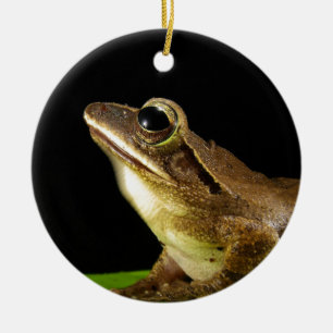 Charmanter kikker op een waterlelieblad, Waterleli Keramisch Ornament