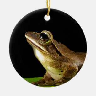 Charmanter kikker op een waterlelieblad, Waterleli Keramisch Ornament