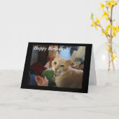 Charmeur de Kaart van de Verjaardag van de Kat (Gele Bloem)