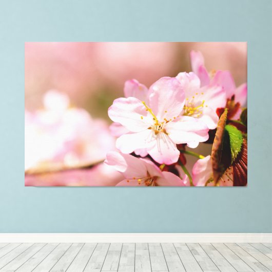 Charmin Sakura Bloemen op Roze, Roze, Roze Canvas Afdruk (Insitu (Houten vloer))
