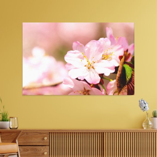 Charmin Sakura Bloemen op Roze, Roze, Roze Canvas Afdruk (Insitu (Woonkamer))