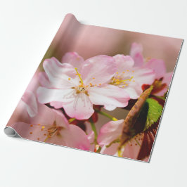 Charmin Sakura Flowers on roze, roze, roze Cadeaupapier