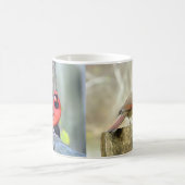 Charming Cardinals (man en Vrouw) Mok (Center)