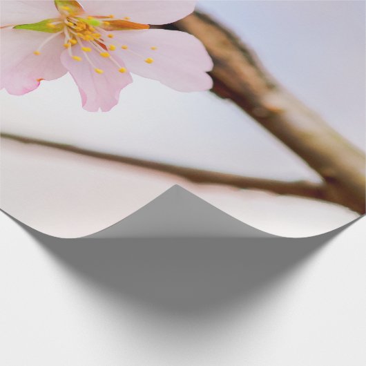 Charming Chic Sakura Flower and Leaves in Spring Cadeaupapier (Hoek)