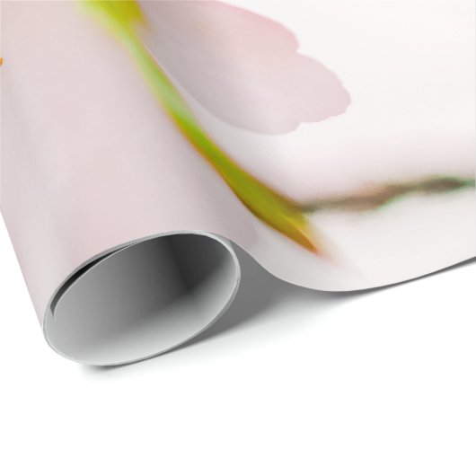 Charming Chic Sakura Flower and Leaves in Spring Cadeaupapier (Rol Hoek)