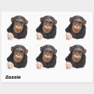 Charming Chimpanzee Vierkante Sticker